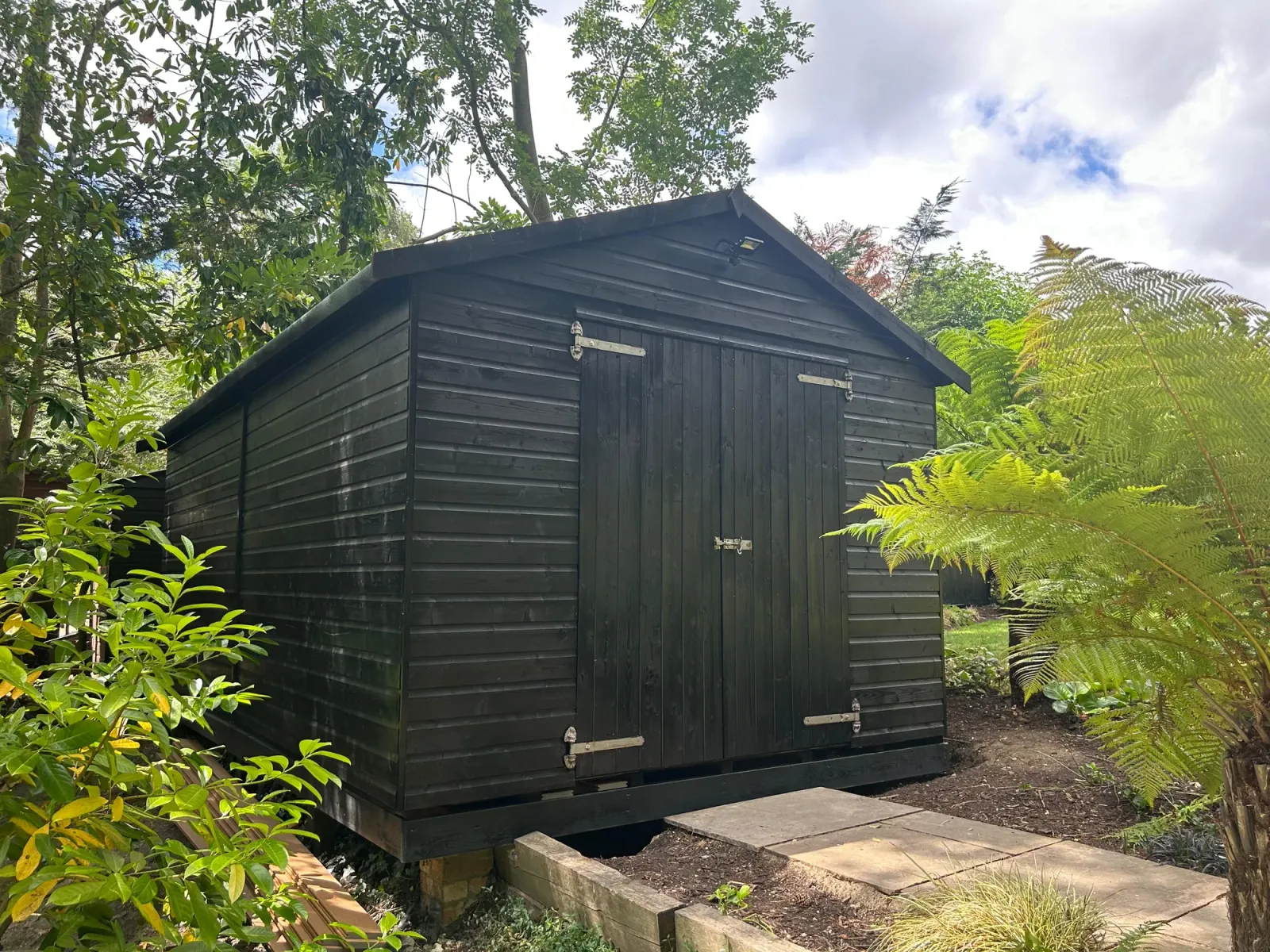 Black-painted timber garden shed nestled in lush foliage with tree ferns
