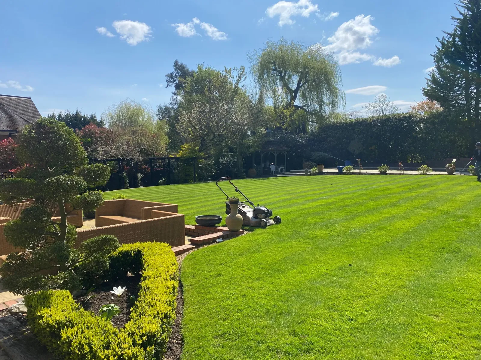 Sun-lit back garden with shrubs and a lawnmower mid-task on a freshly cut lawn