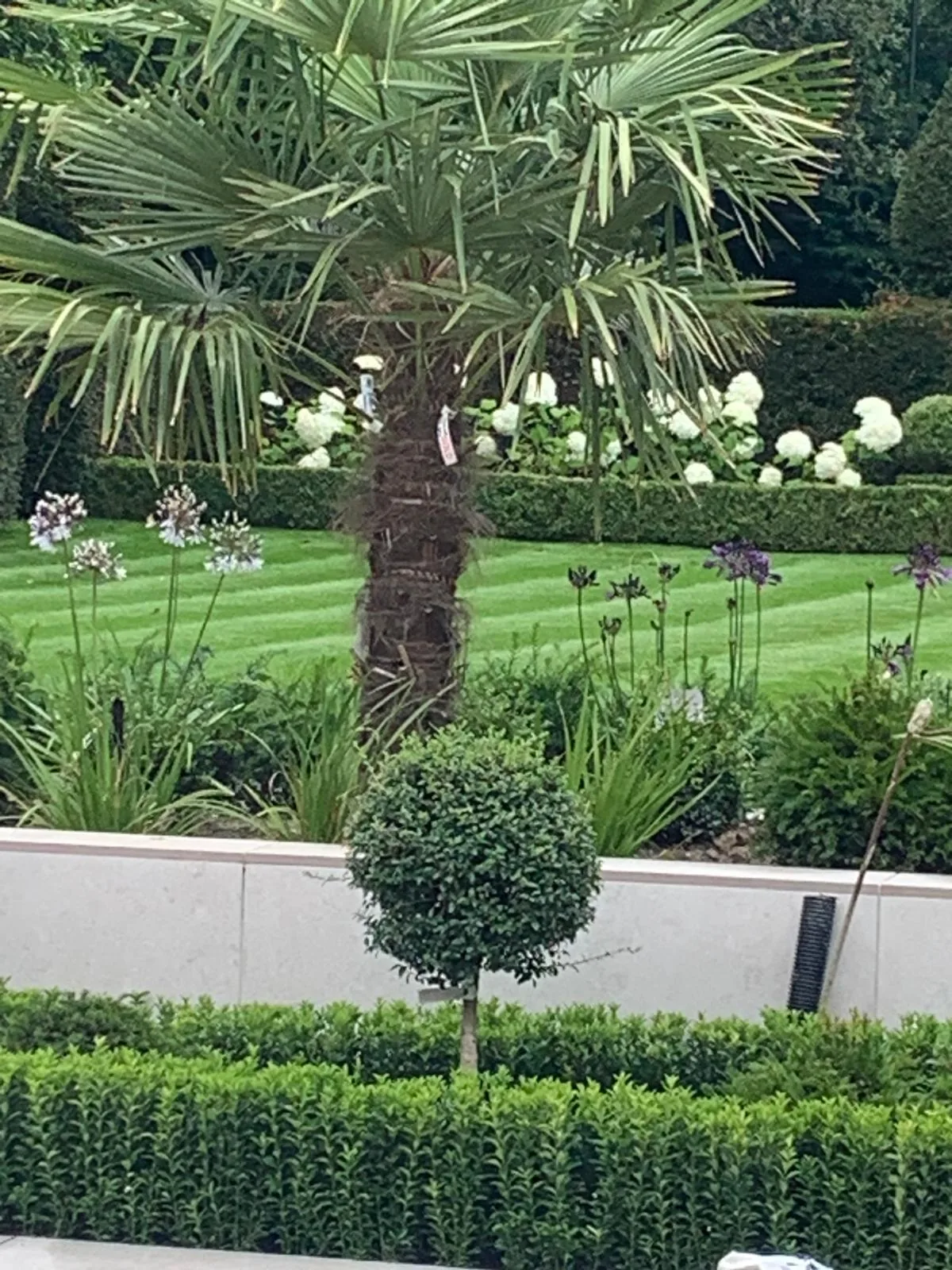 Garden maintenance project, before / after pair