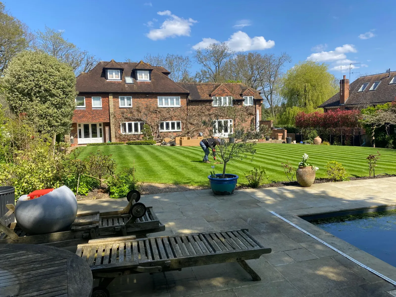 Garden looking sharp after a seasonal maintenance visit