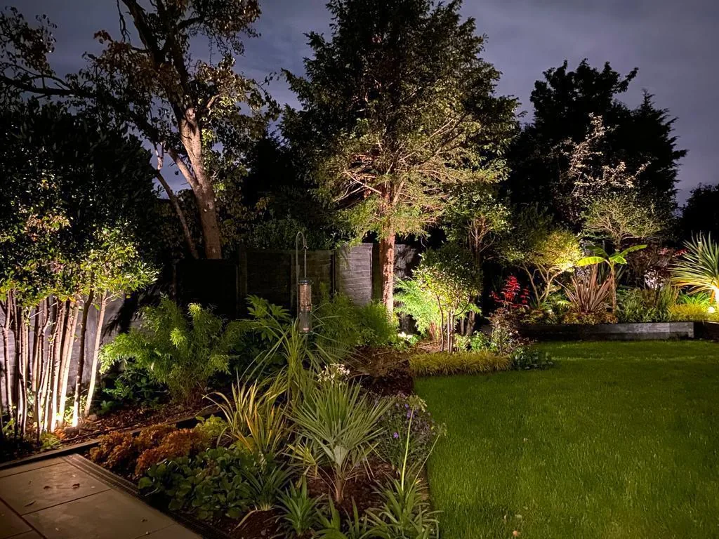 Back garden at night with uplit mature shrubs and trees