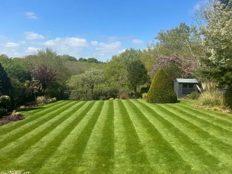 Lawns