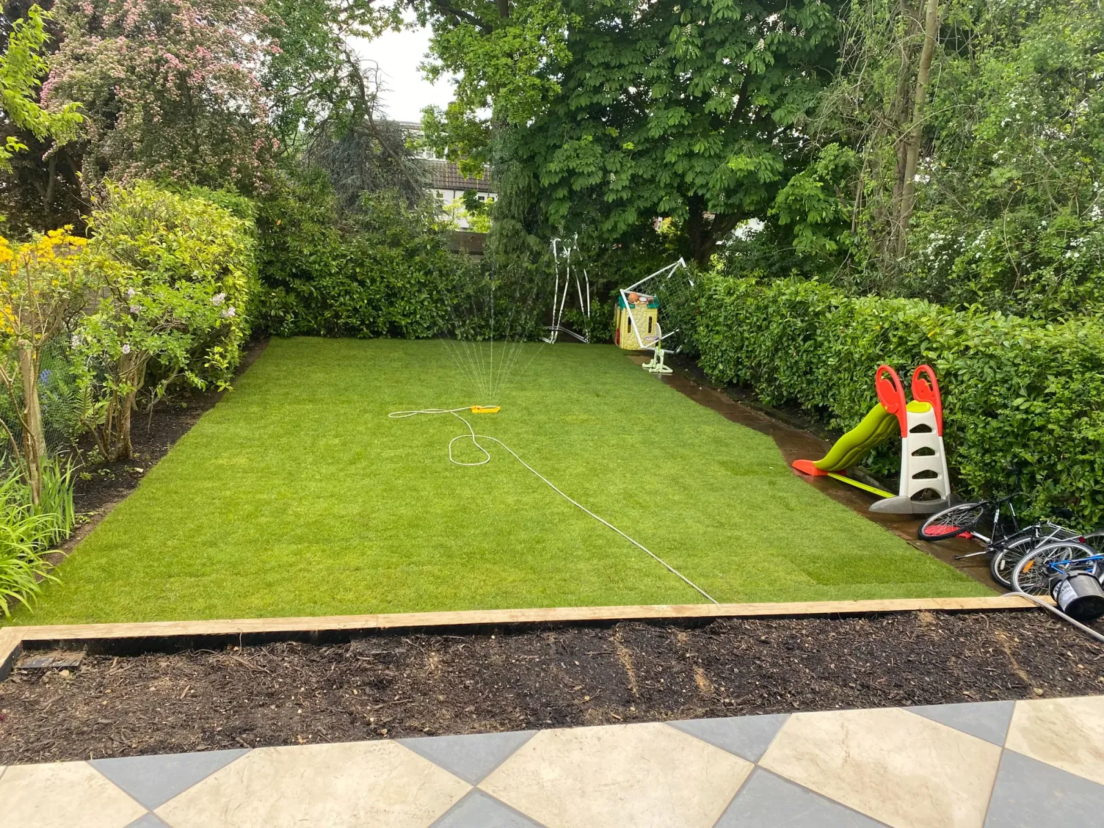 Complete Lawn Care Guide for North London