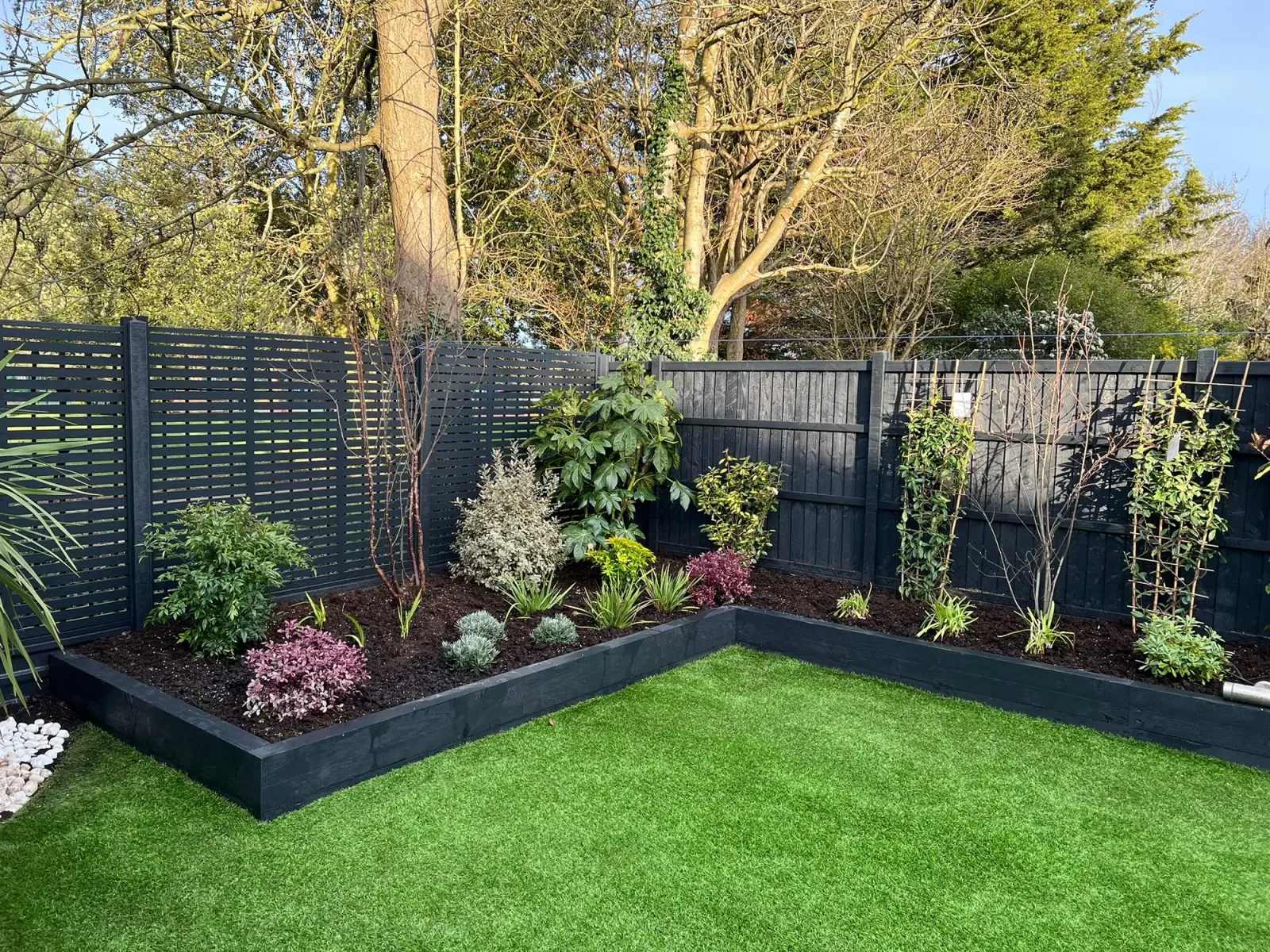 Finchley Central N3: mature shrubs and seasonal planting in a black-painted sleeper raised bed