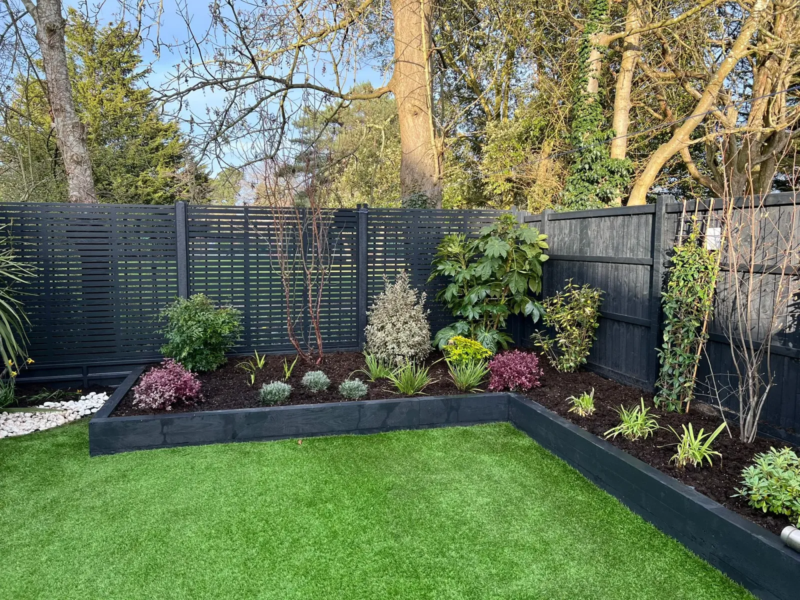 Mature planted corner with established shrubs in a black sleeper raised bed against slatted black fencing