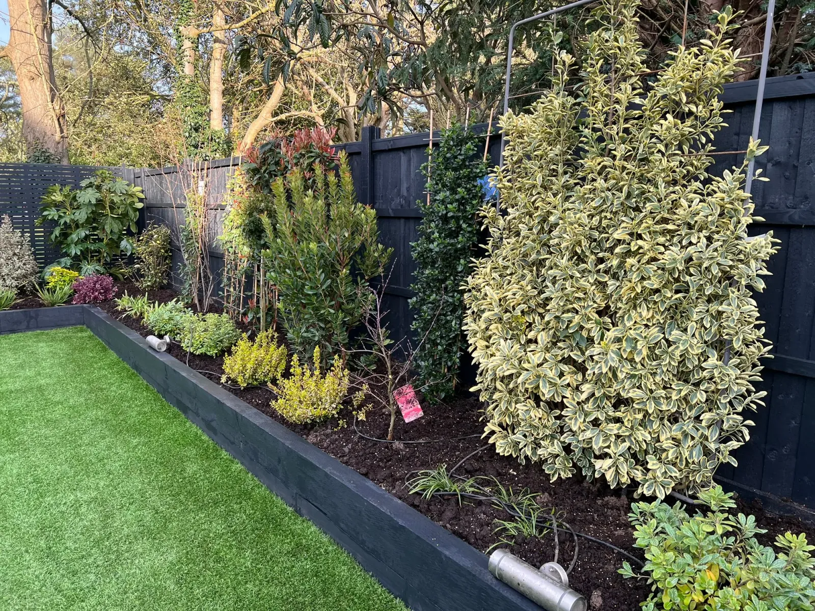 Garden Refresh in Finchley Central N3